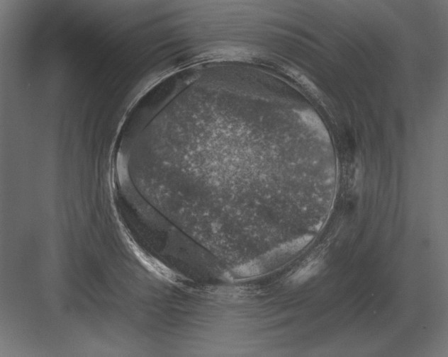 X0000082151034200702092146