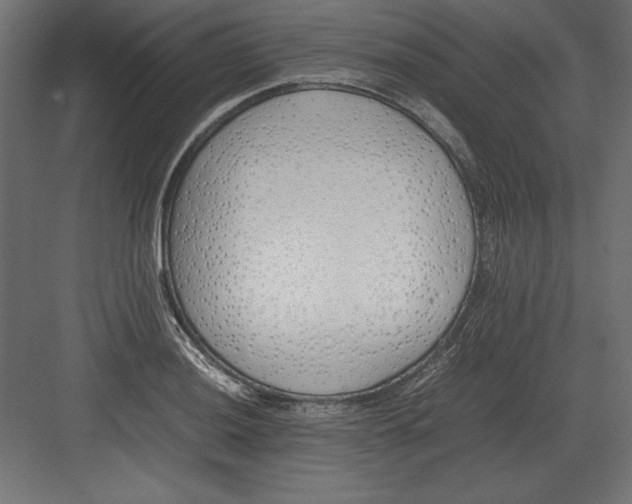 X0000082151036200702092146