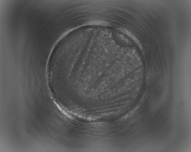 X0000082151037200702092146