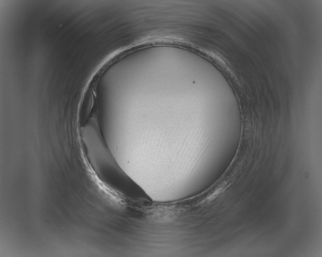 X0000082151038200702092146