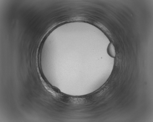 X0000082151039200702092146