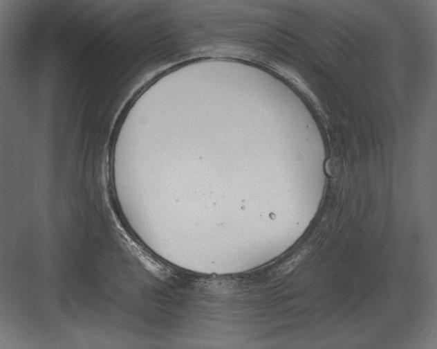 X0000082151040200702092146