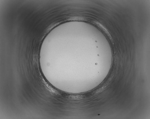 X0000082151041200702092146