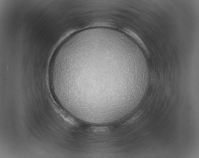 X0000082151043200702092146