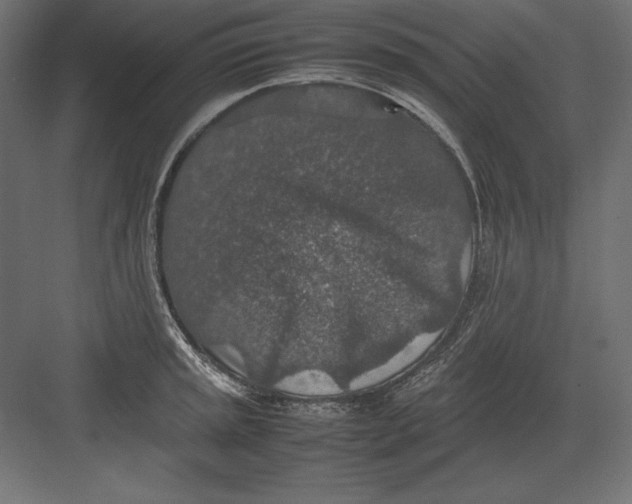 X0000082151045200702092146