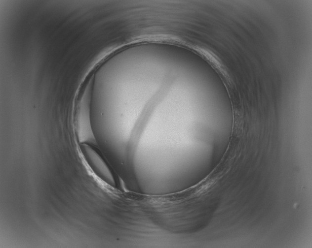 X0000082151046200702092146