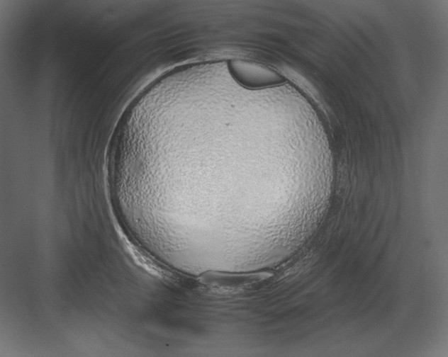 X0000082151047200702092146