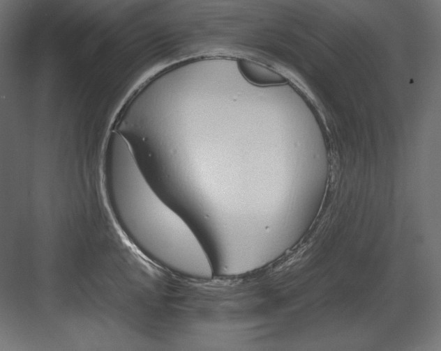 X0000082151048200702092146