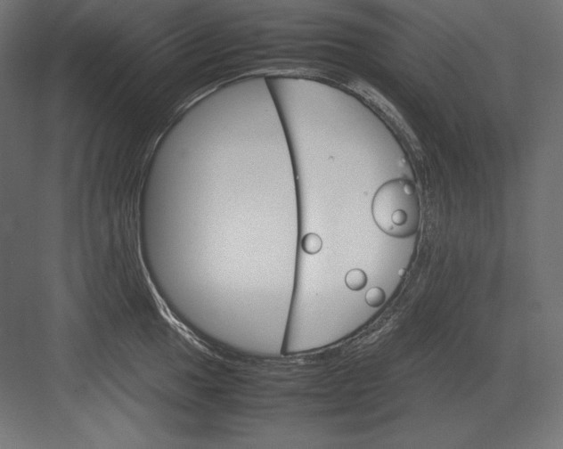 X0000082151049200702092146