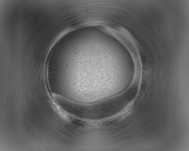 X0000082151050200702092146