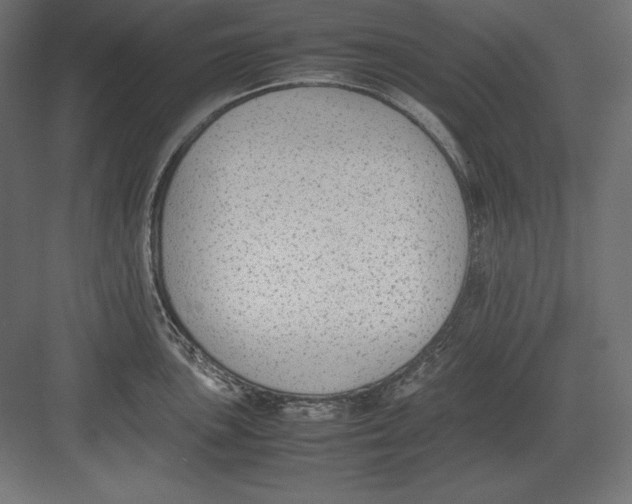 X0000082151051200702092146