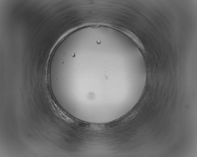 X0000082151052200702092146