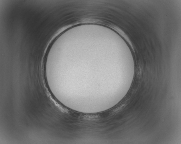 X0000082151053200702092146