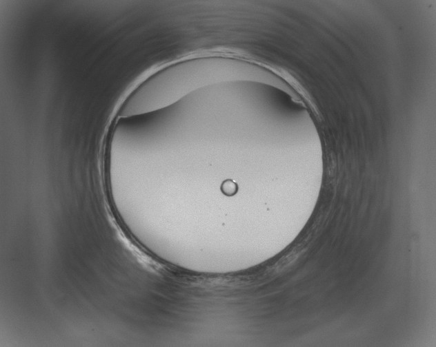 X0000082151054200702092146