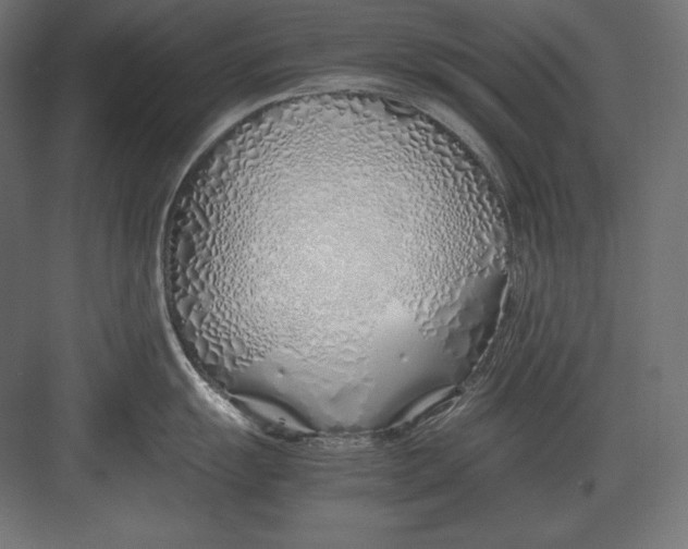 X0000082151055200702092146