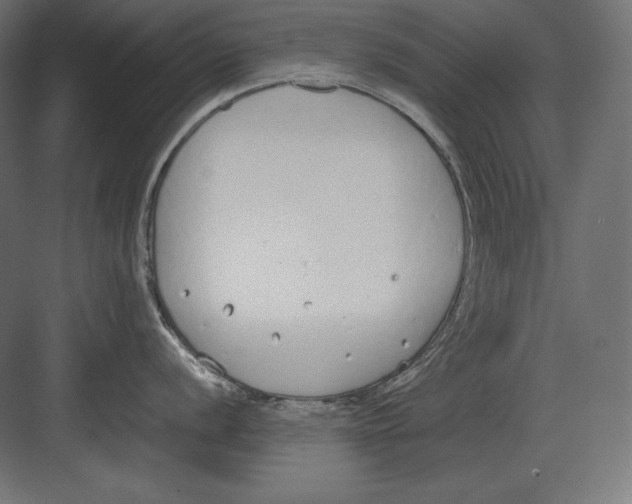 X0000082151056200702092146