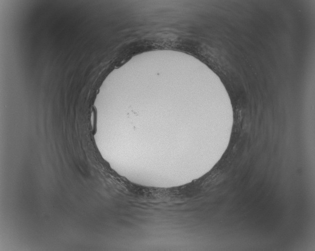 X0000082151057200702092145