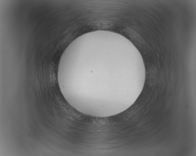 X0000082151058200702092145