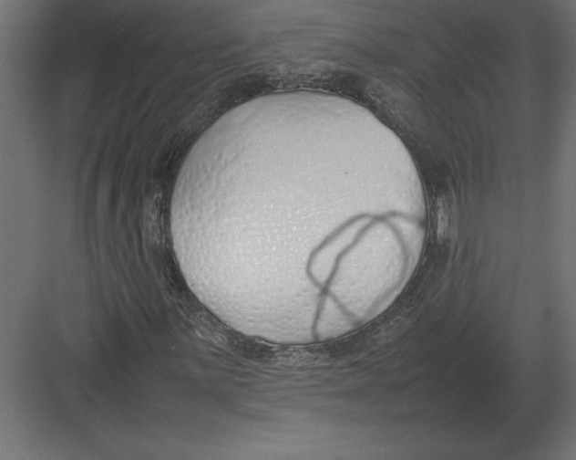 X0000082151059200702092145