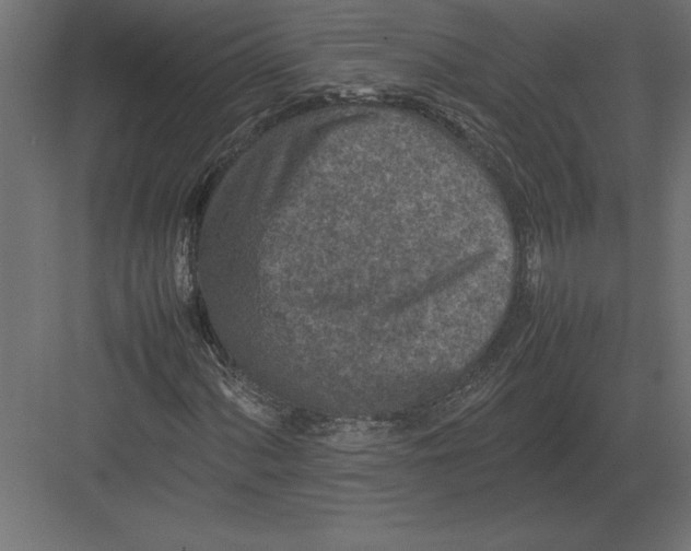 X0000082151060200702092145