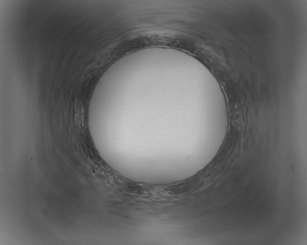 X0000082151061200702092145