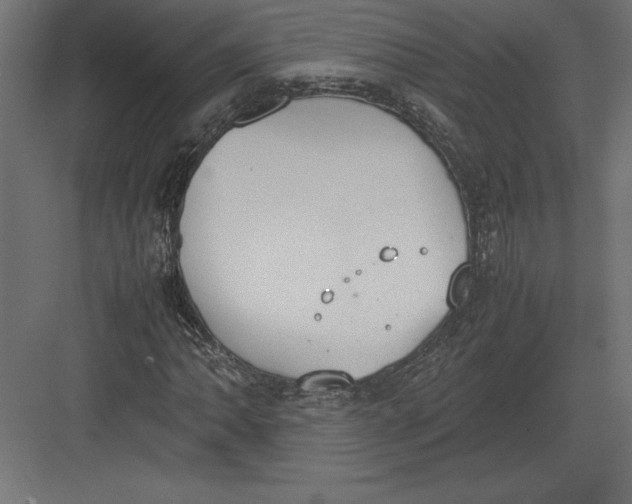 X0000082151062200702092145