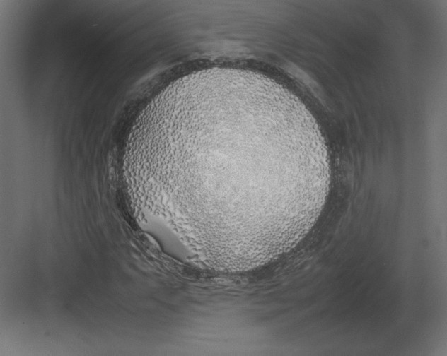 X0000082151063200702092145