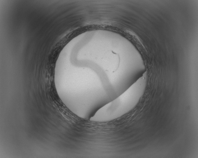 X0000082151064200702092145