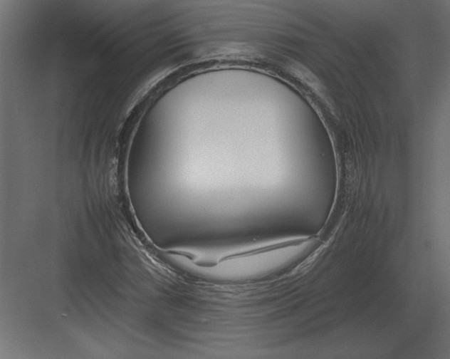 X0000082151066200702092145