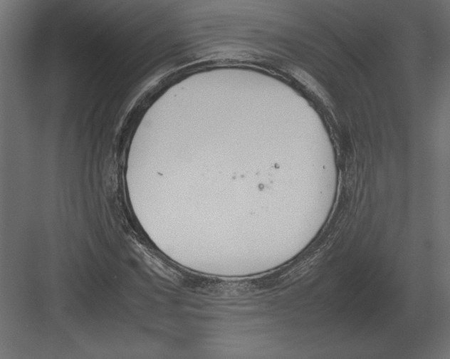 X0000082151067200702092145