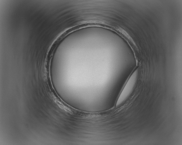 X0000082151068200702092145