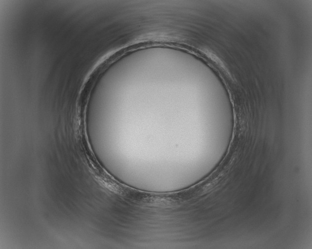 X0000082151070200702092145