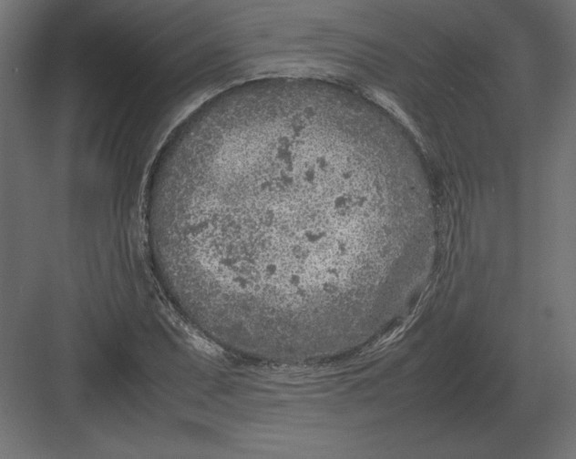 X0000082151071200702092145