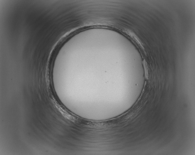 X0000082151072200702092145