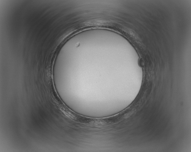 X0000082151073200702092145