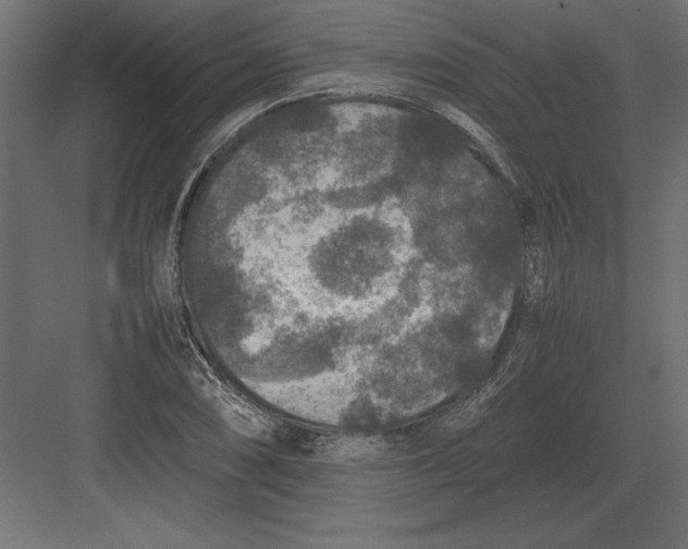 X0000082151074200702092145