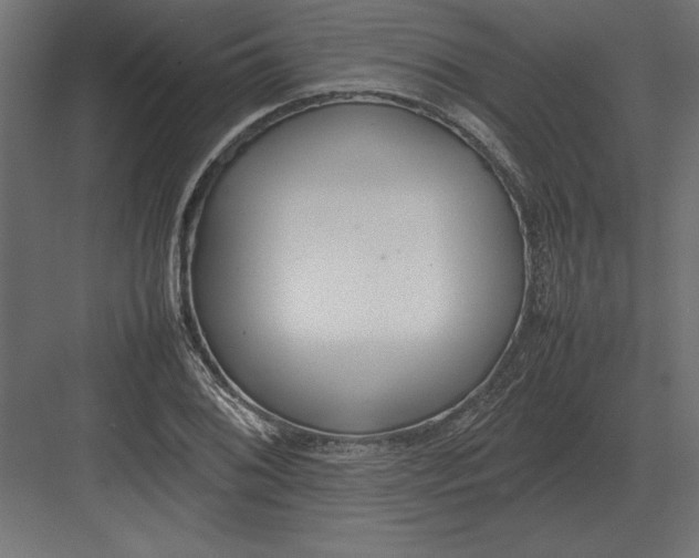 X0000082151076200702092145