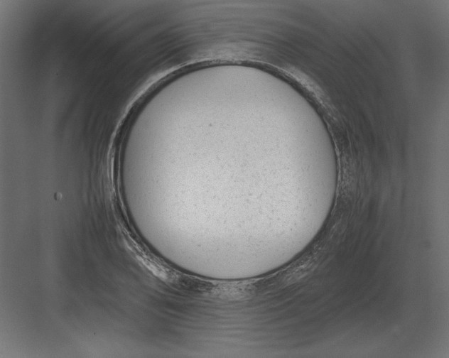 X0000082151078200702092145