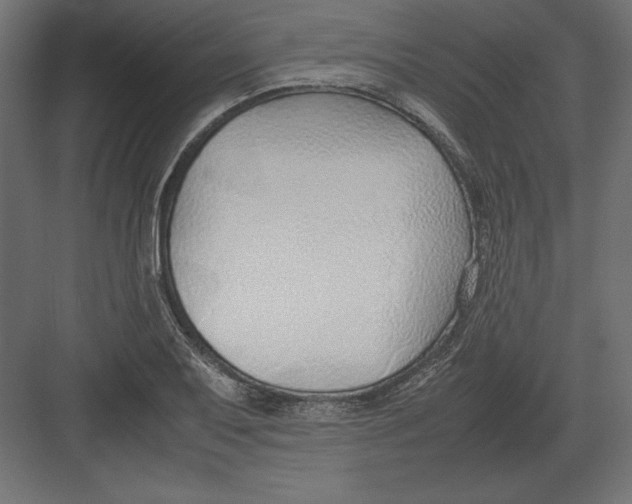 X0000082151079200702092145