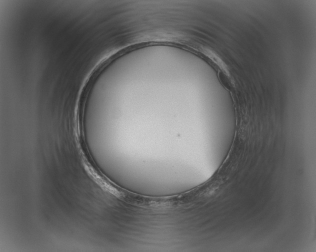 X0000082151080200702092145