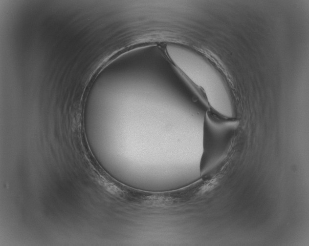 X0000082151081200702092145