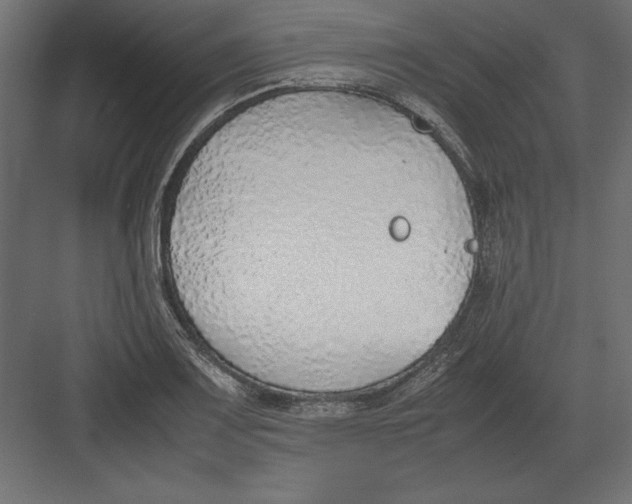 X0000082151083200702092145