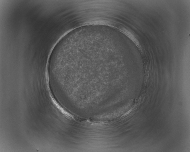 X0000082151084200702092145