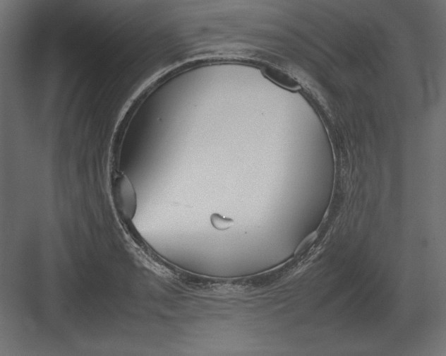 X0000082151085200702092145