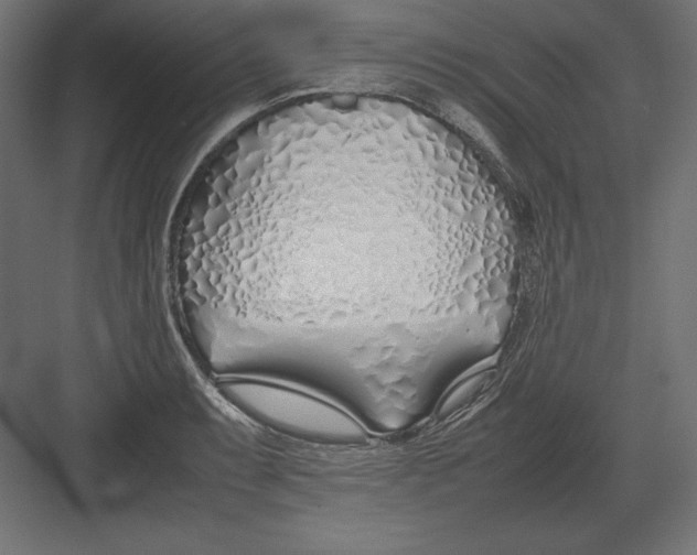 X0000082151087200702092145