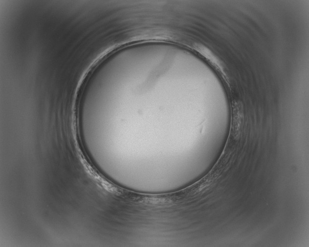 X0000082151088200702092145