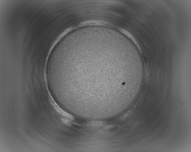 X0000082151090200702092145