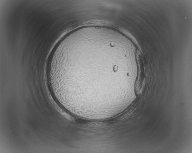 X0000082151091200702092145