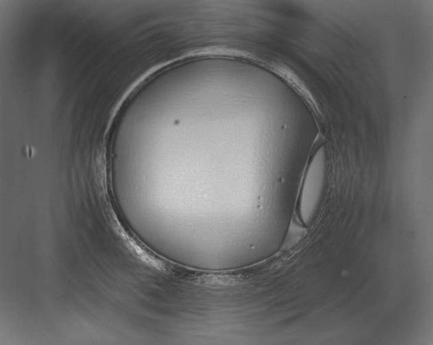 X0000082151092200702092145