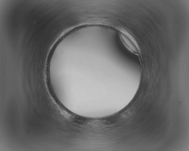 X0000082151093200702092145